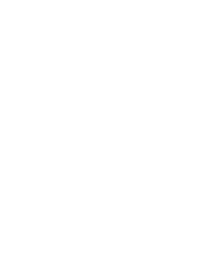 Flutter_logo with text
