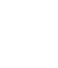 Wordpress_logo_with_text_icon